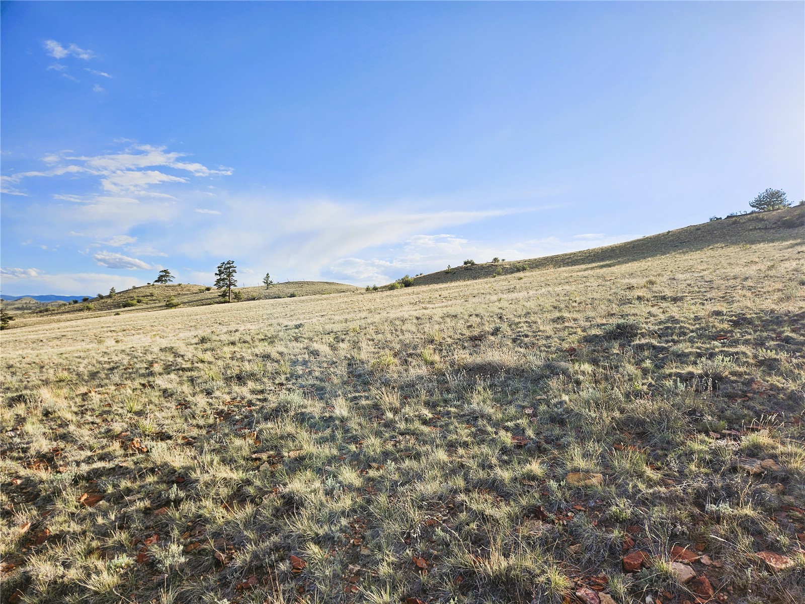 Pcs#24142 Antero Road Hartsel, CO 80449 - Photo 14 of 50