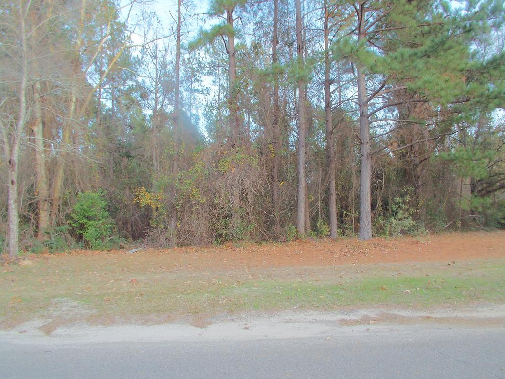 4384 Seago Road Hephzibah, GA 30815 - Photo 1 of 7 Main View