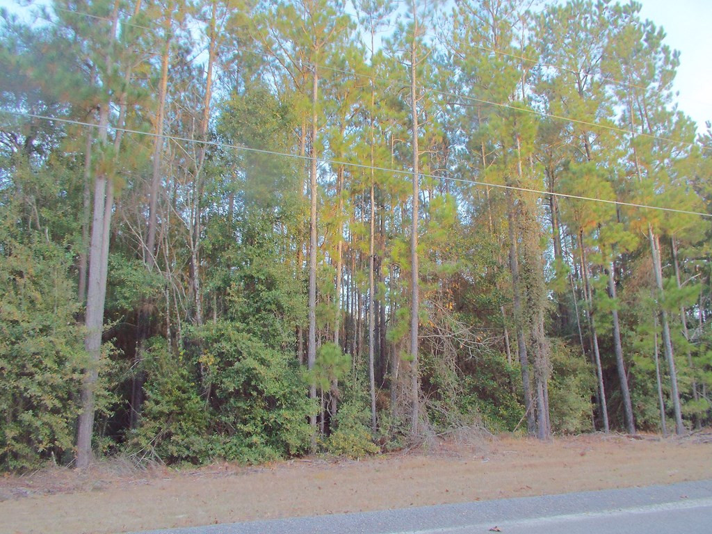 4384 Seago Road Hephzibah, GA 30815 - Photo 7 of 7