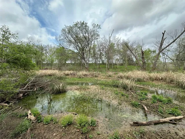 a view of a lake with lots of green space