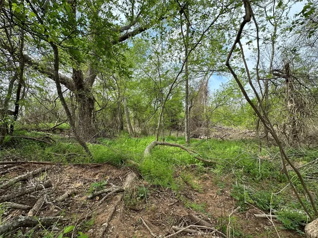 a view of backyard with green space
