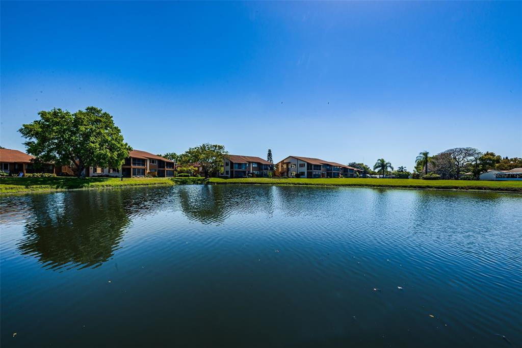 3847 Lighthouse Way, Unit 3847 New Port Richey, FL 34652 - Photo 61 of 89 a view of a lake with houses in the background