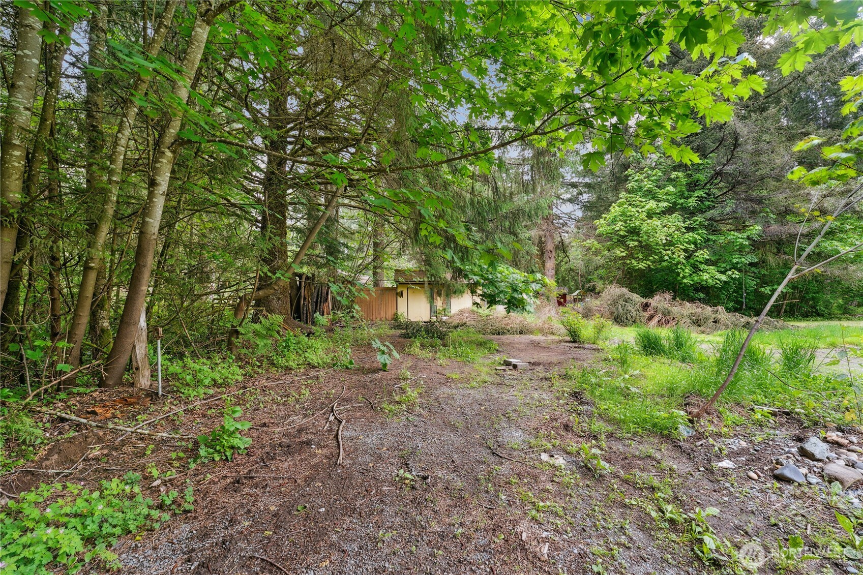 19106 255th St Court East Orting, WA 98360 - Photo 4 of 9 a backyard of a house with lots of green space