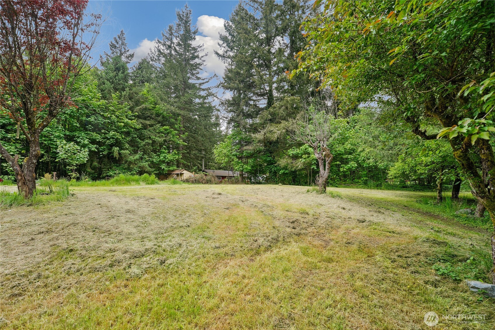 19106 255th St Court East Orting, WA 98360 - Photo 7 of 9 a view of outdoor space and yard
