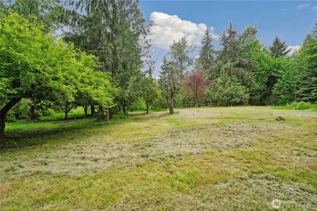 a view of a field with trees in the background