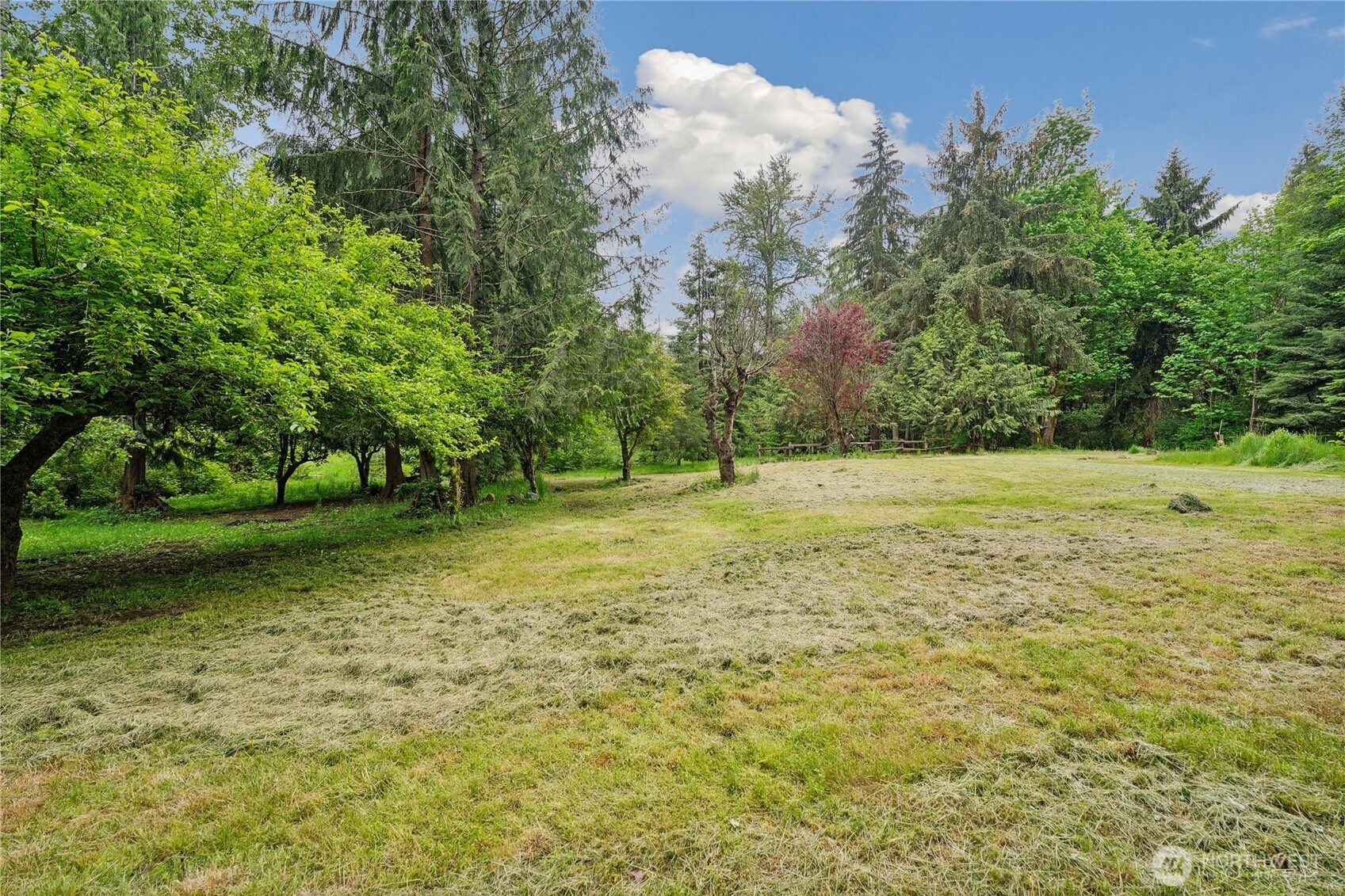 19106 255th St Court East Orting, WA 98360 - Photo 8 of 9 a view of a field with trees in the background
