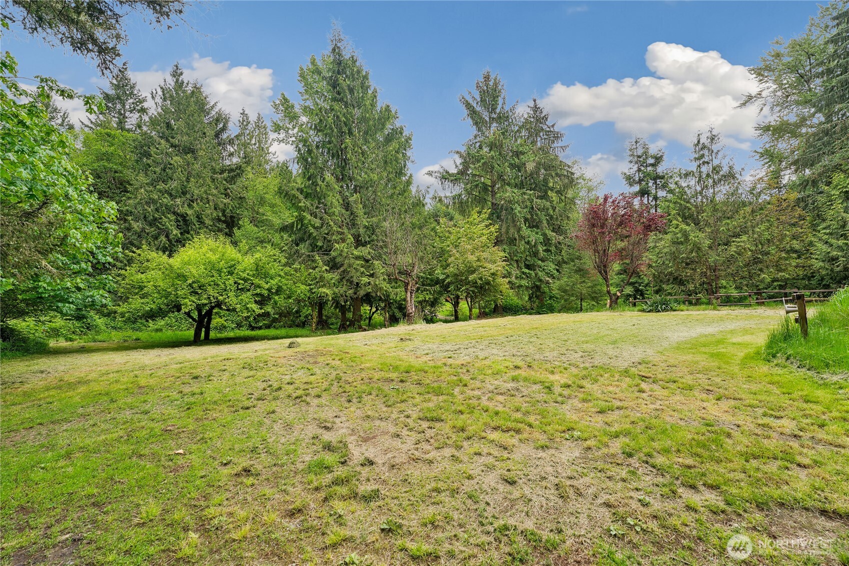19106 255th St Court East Orting, WA 98360 - Photo 9 of 9 a view of outdoor space and yard