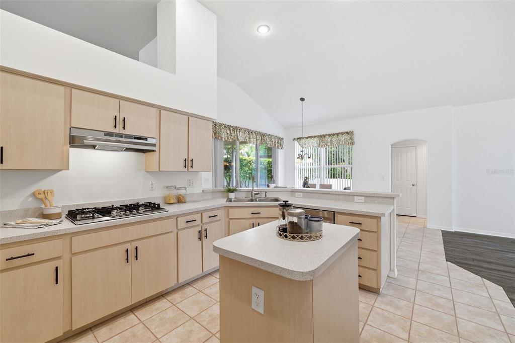 28331 Openfield Loop Wesley Chapel, FL 33543 - Photo 21 of 51 Gallery Image 21