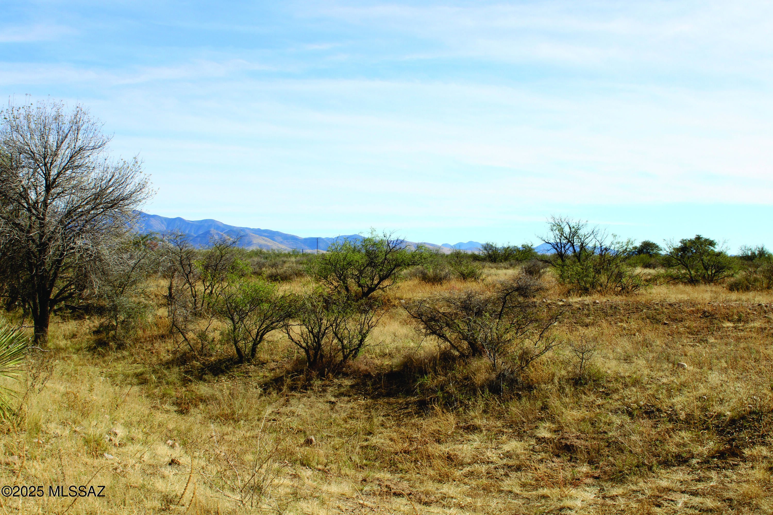 10-acres East Roadrunner Road, Unit E Pearce, AZ 85625 - Photo 28 of 29 a view of a dry yard with green space