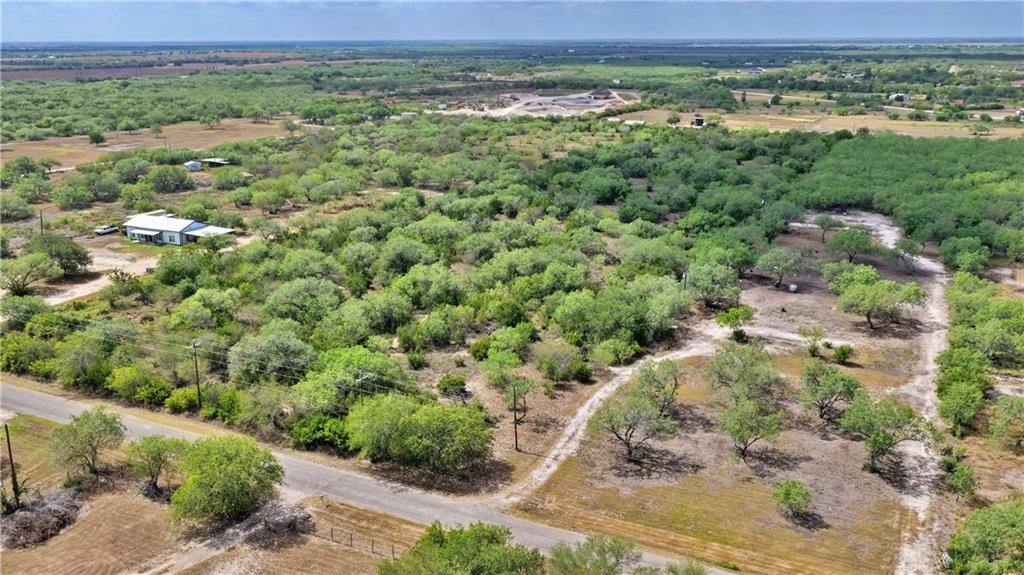0 County Rd 3075 Orange Grove, TX 78372 - Photo 2 of 9 a view of a field with a lush green forest