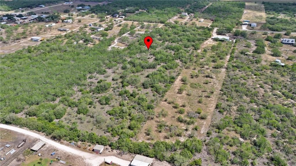 0 County Rd 3075 Orange Grove, TX 78372 - Photo 6 of 9