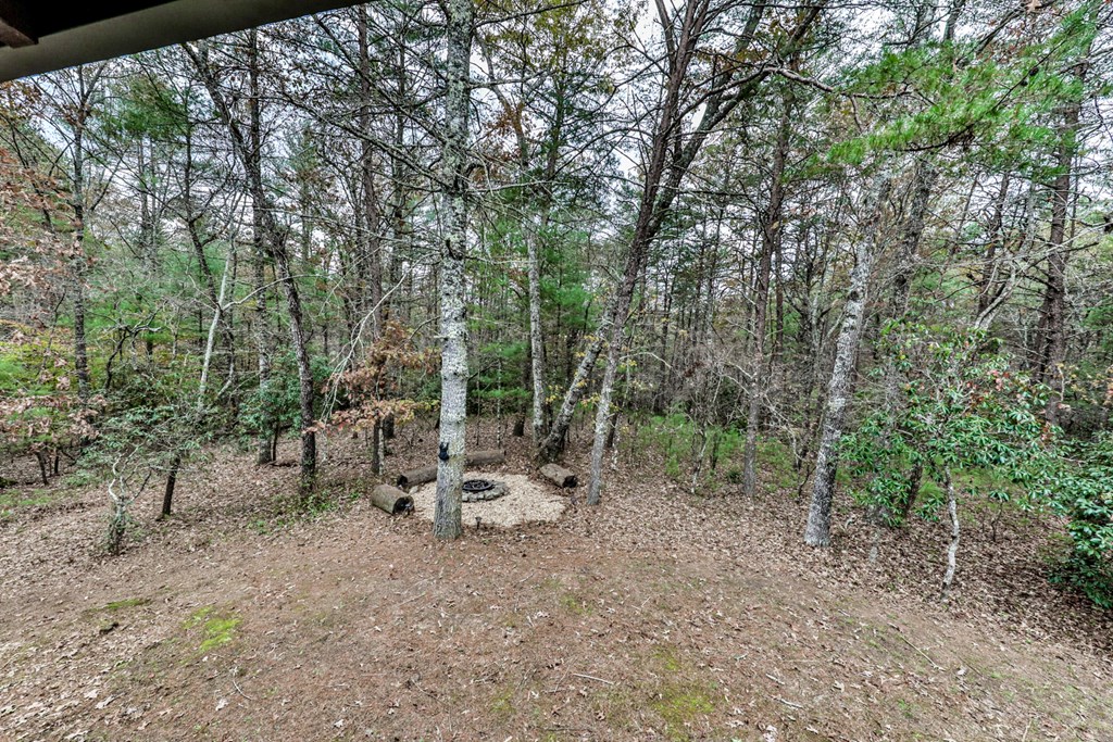 245 Weeks Creek Road Blue Ridge, GA 30513 - Photo 36 of 50