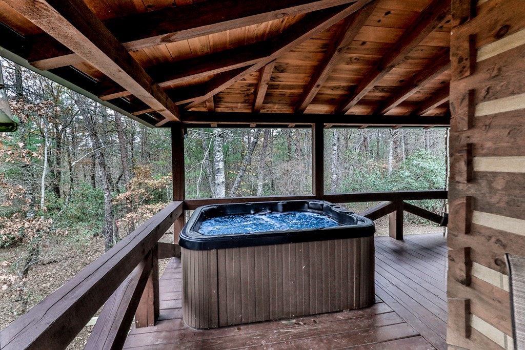 245 Weeks Creek Road Blue Ridge, GA 30513 - Photo 40 of 50
