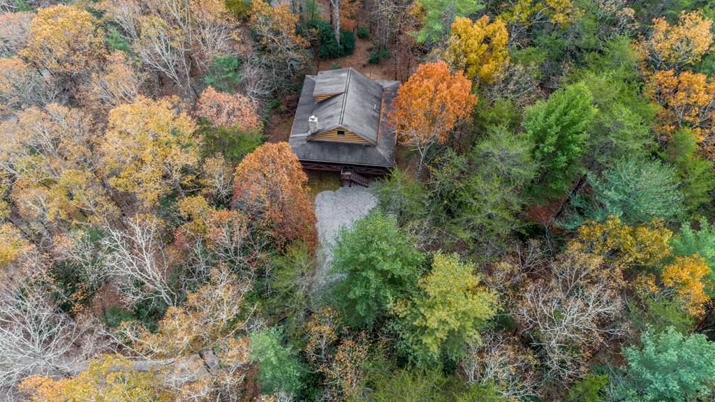 245 Weeks Creek Road Blue Ridge, GA 30513 - Photo 44 of 50