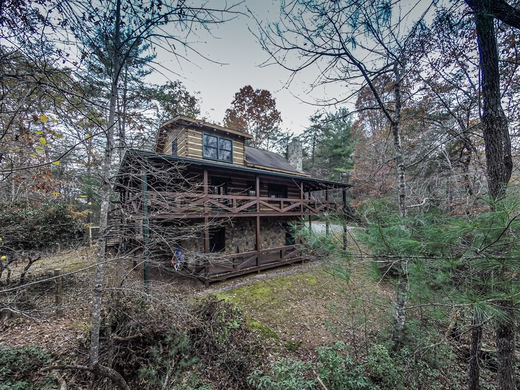 245 Weeks Creek Road Blue Ridge, GA 30513 - Photo 47 of 50