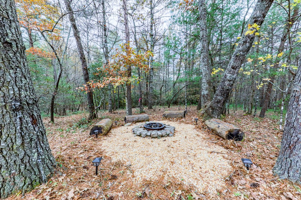 245 Weeks Creek Road Blue Ridge, GA 30513 - Photo 6 of 50