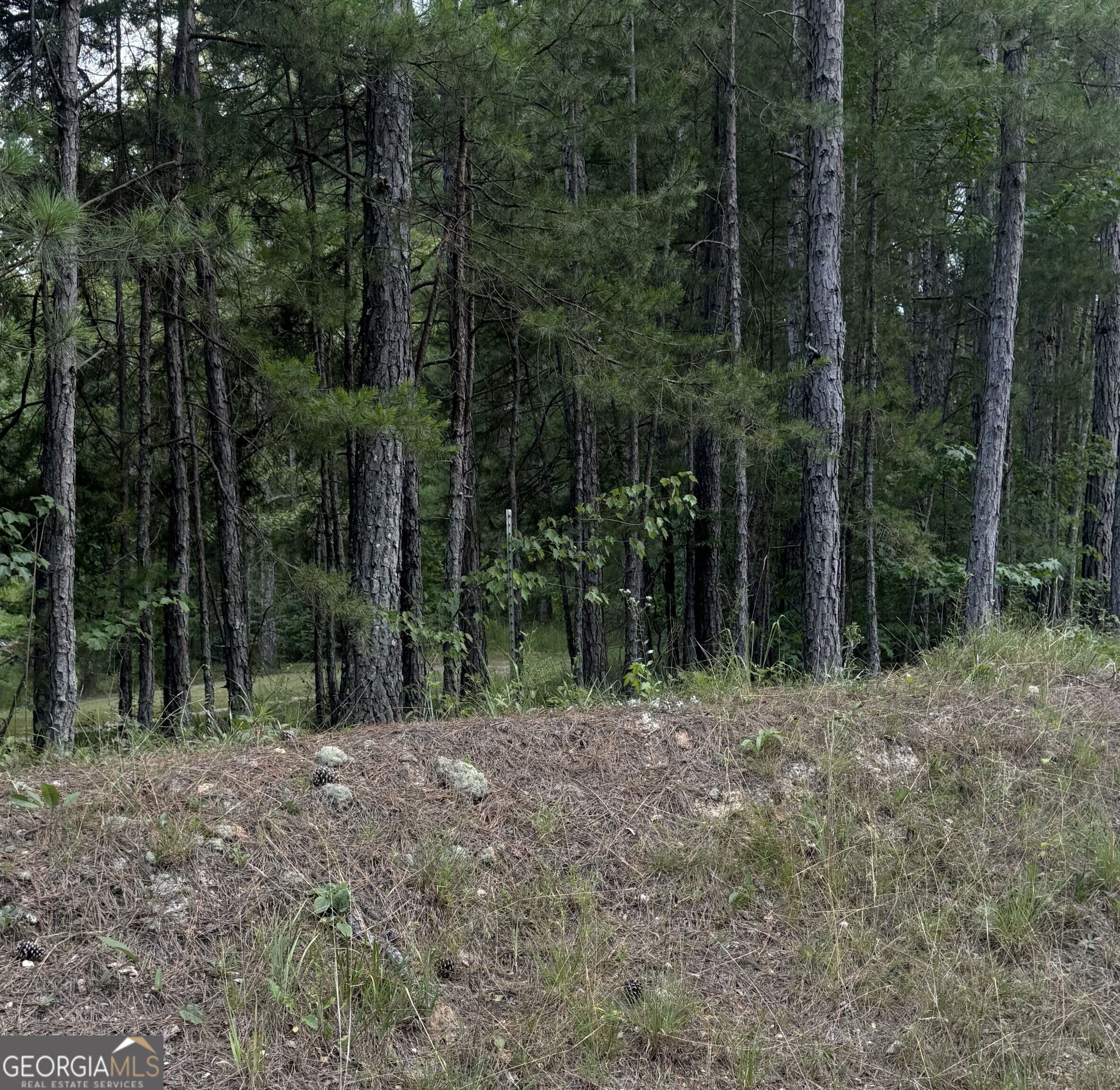 0 Co Rd 61 Fruithurst, AL 36262 - Photo 3 of 6