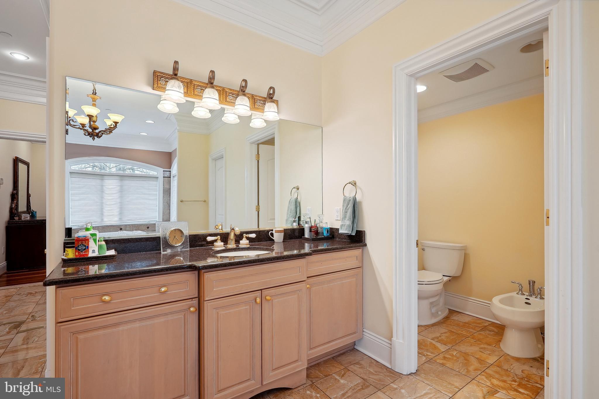 11704 Centurion Way Potomac, MD 20854 - Photo 41 of 93 Primary Bathroom - Onyx and Gold Plated Hardware