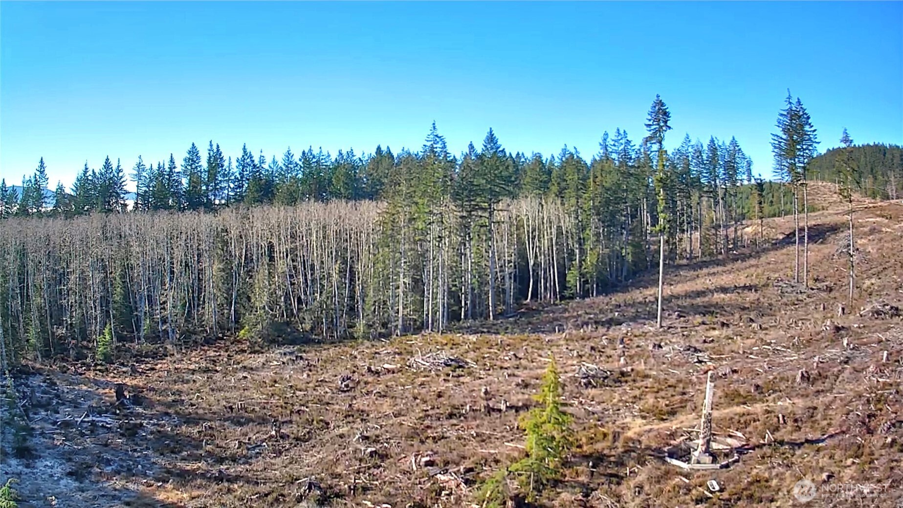 0 B-1000 Road Sequim, WA 98382 - Photo 6 of 16