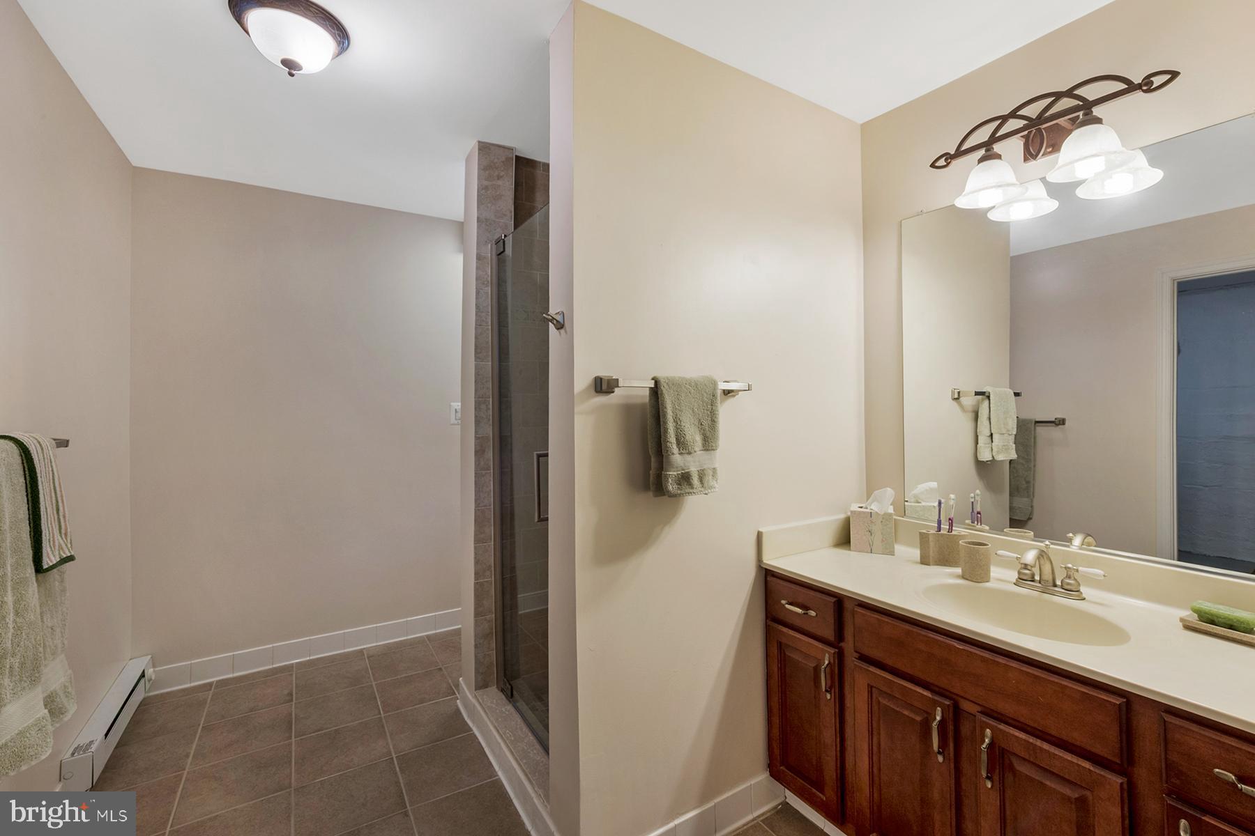 1253 Magothy Road Pasadena, MD 21122 - Photo 28 of 49 The lower level has a full bathroom