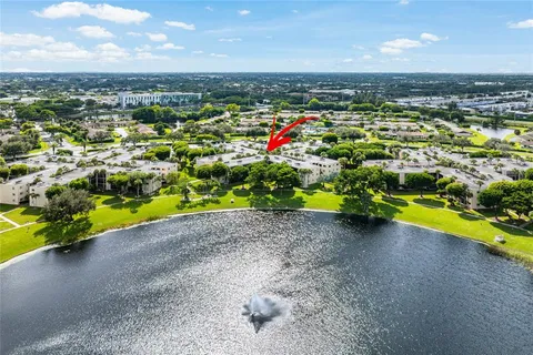 a plant with lots of different kinds of flowers