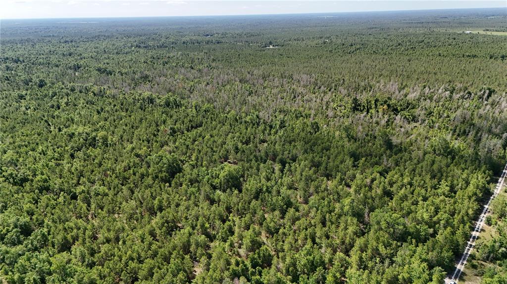 Union Way Lee, FL 32059 - Photo 14 of 15