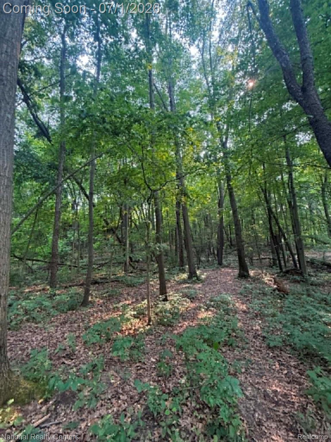 1330 Brauer Road Oxford, MI 48371 - Photo 15 of 54 Wooded lot featuring mature trees and a natural ground cover