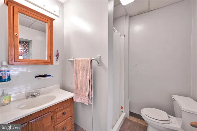 a bathroom with a sink vanity mirror and toilet
