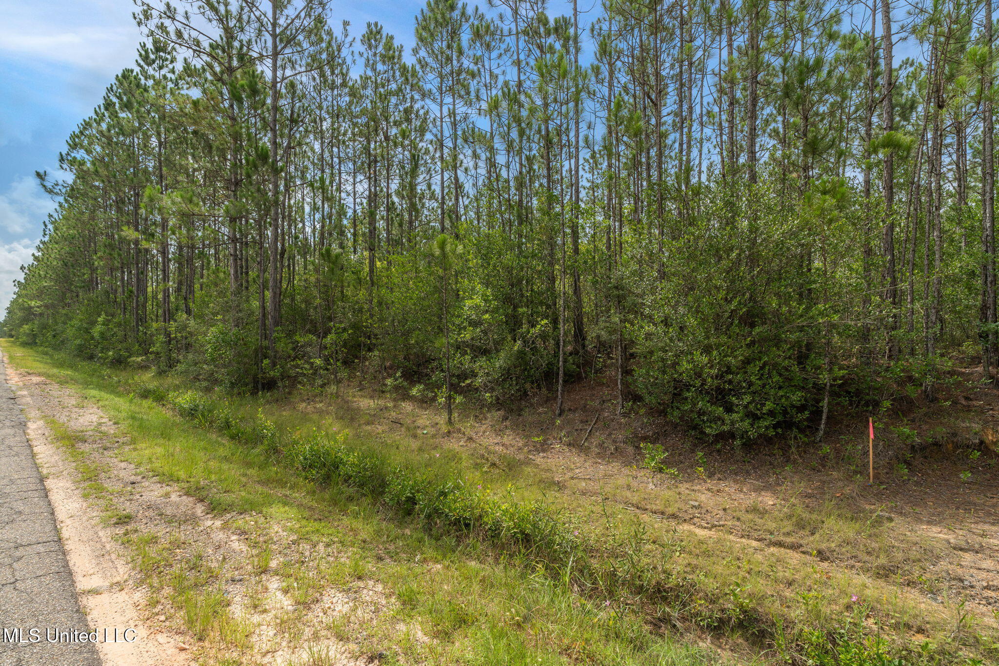 Herman Ladner Road Saucier, MS 39574 - Photo 2 of 9 Herman_Ladner_Road_Lot_6-4