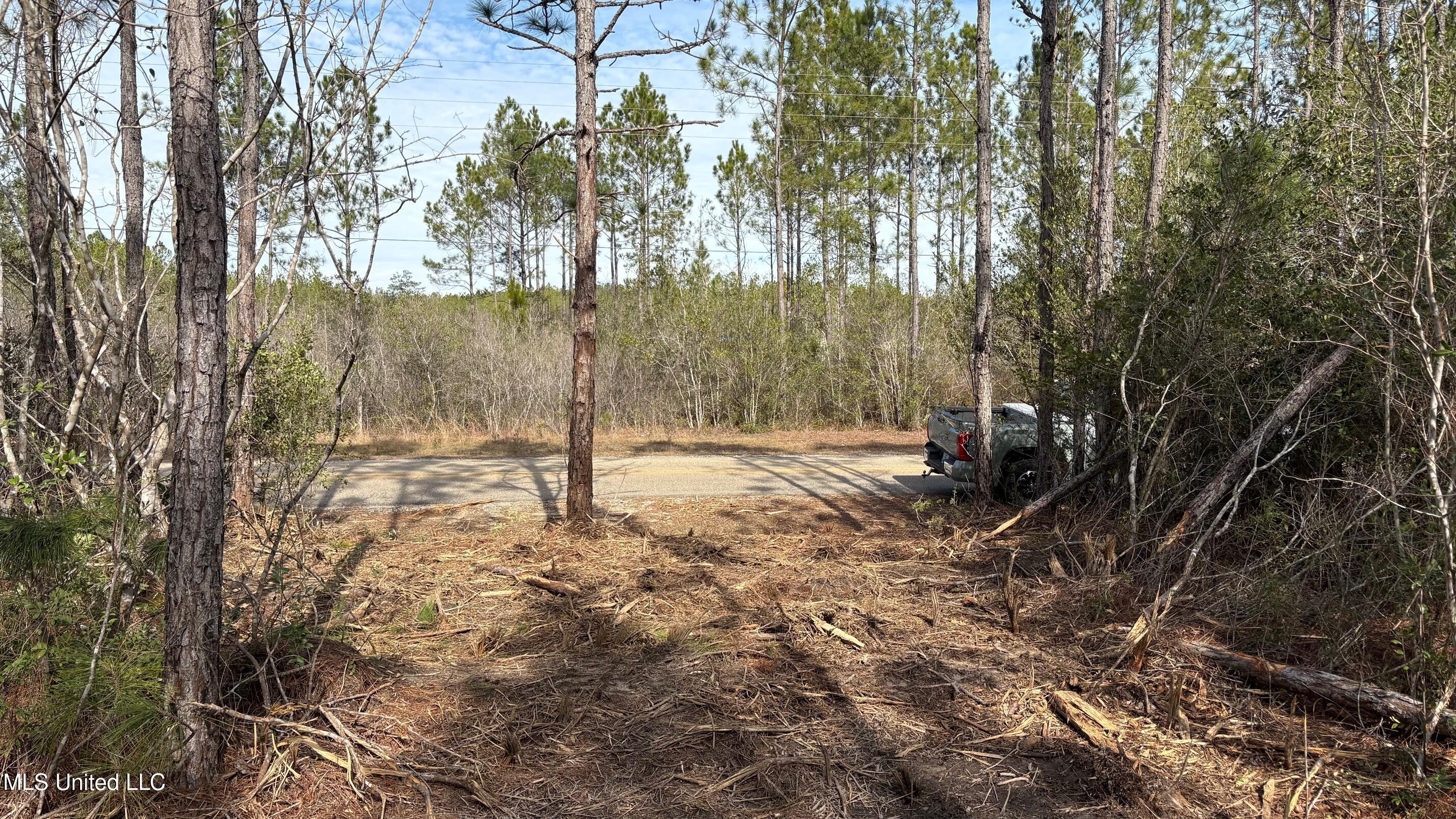 Herman Ladner Road Saucier, MS 39574 - Photo 5 of 9 IMG_1253