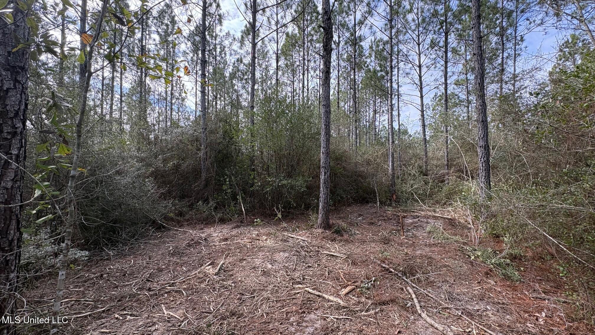 Herman Ladner Road Saucier, MS 39574 - Photo 6 of 9 IMG_1254