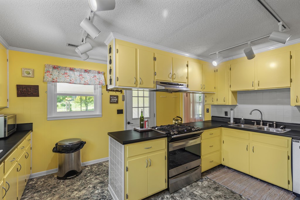 1314 Fern Road Slocomb, AL 36375 - Photo 17 of 68 Loads of kitchen storage