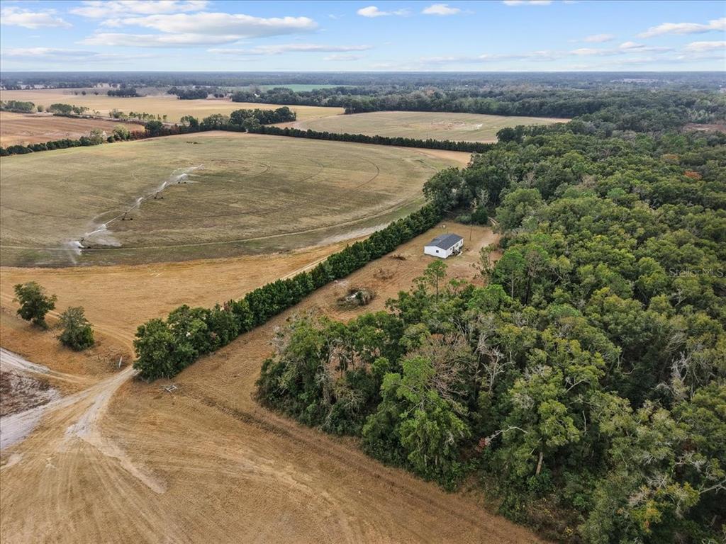 4754 Southwest 10th Street Bell, FL 32619 - Photo 18 of 22