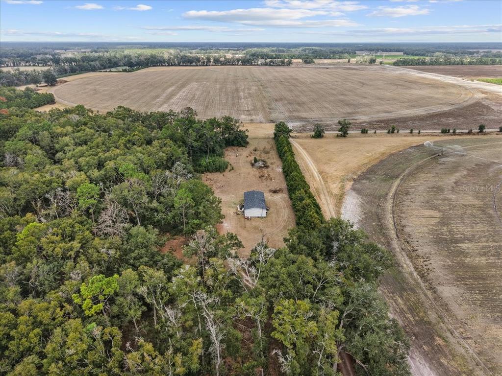 4754 Southwest 10th Street Bell, FL 32619 - Photo 22 of 22