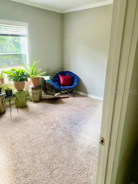 4754 Southwest 10th Street Bell, FL 32619 - Photo 7 of 22