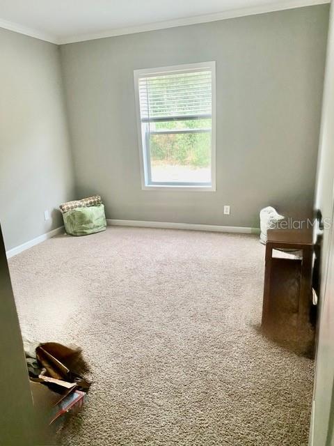 4754 Southwest 10th Street Bell, FL 32619 - Photo 9 of 22