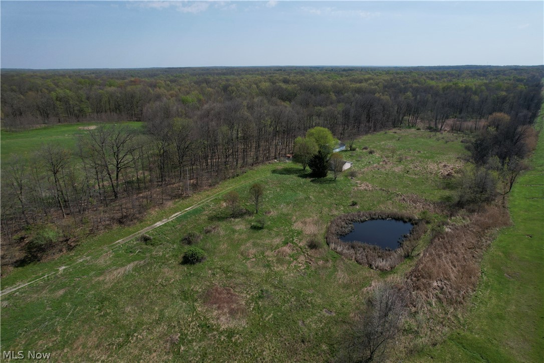9200 Horn Road Windham, OH 44288 - Photo 5 of 41