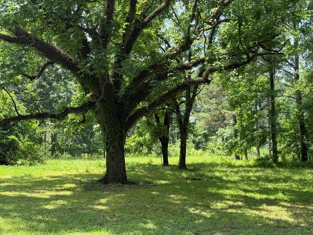 0 Marsalis Road Arcadia, LA 71001 - Photo 4 of 16