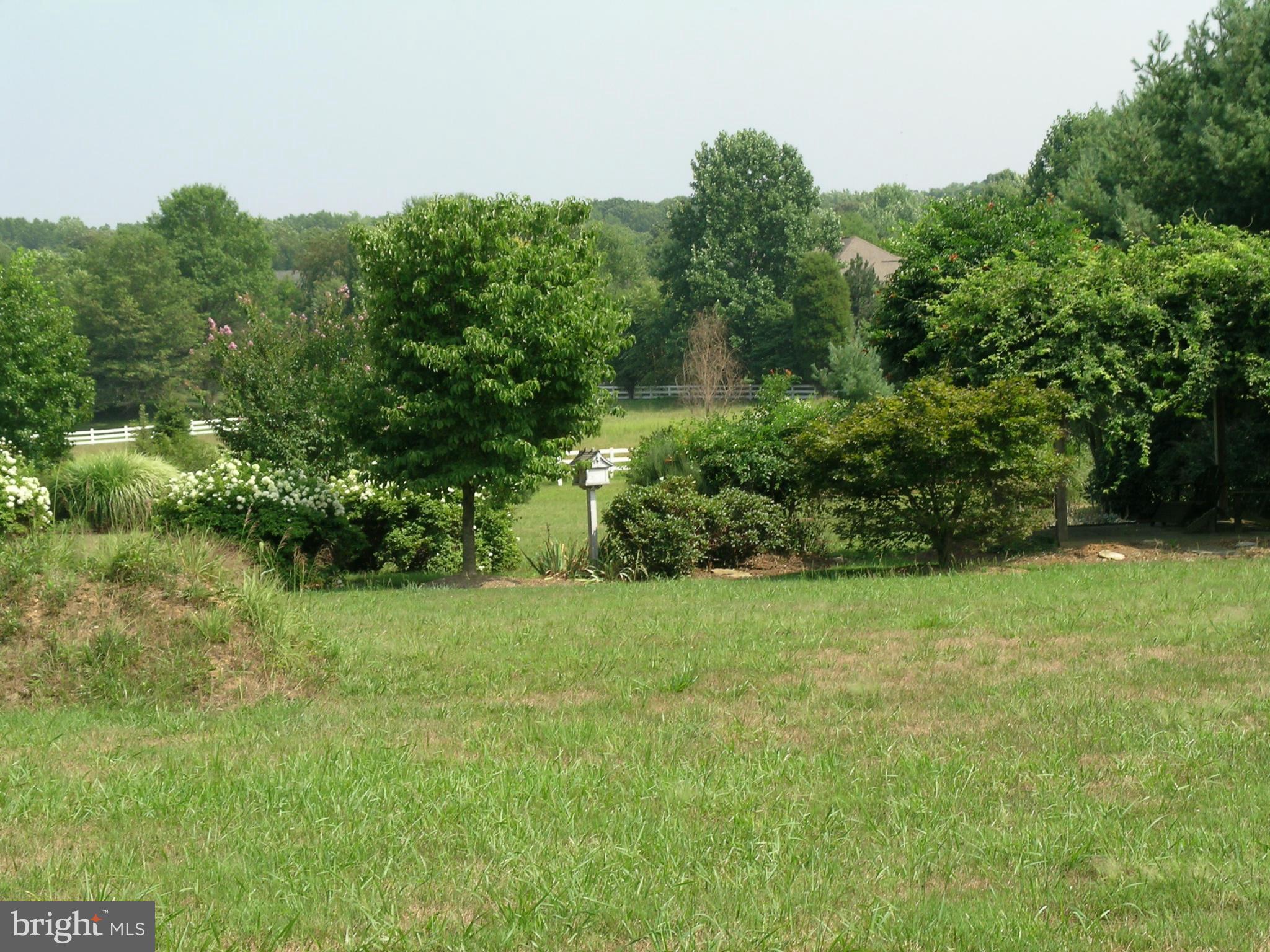 733 Utterback Store Road Great Falls, VA 22066 - Photo 14 of 27 Exterior (General)