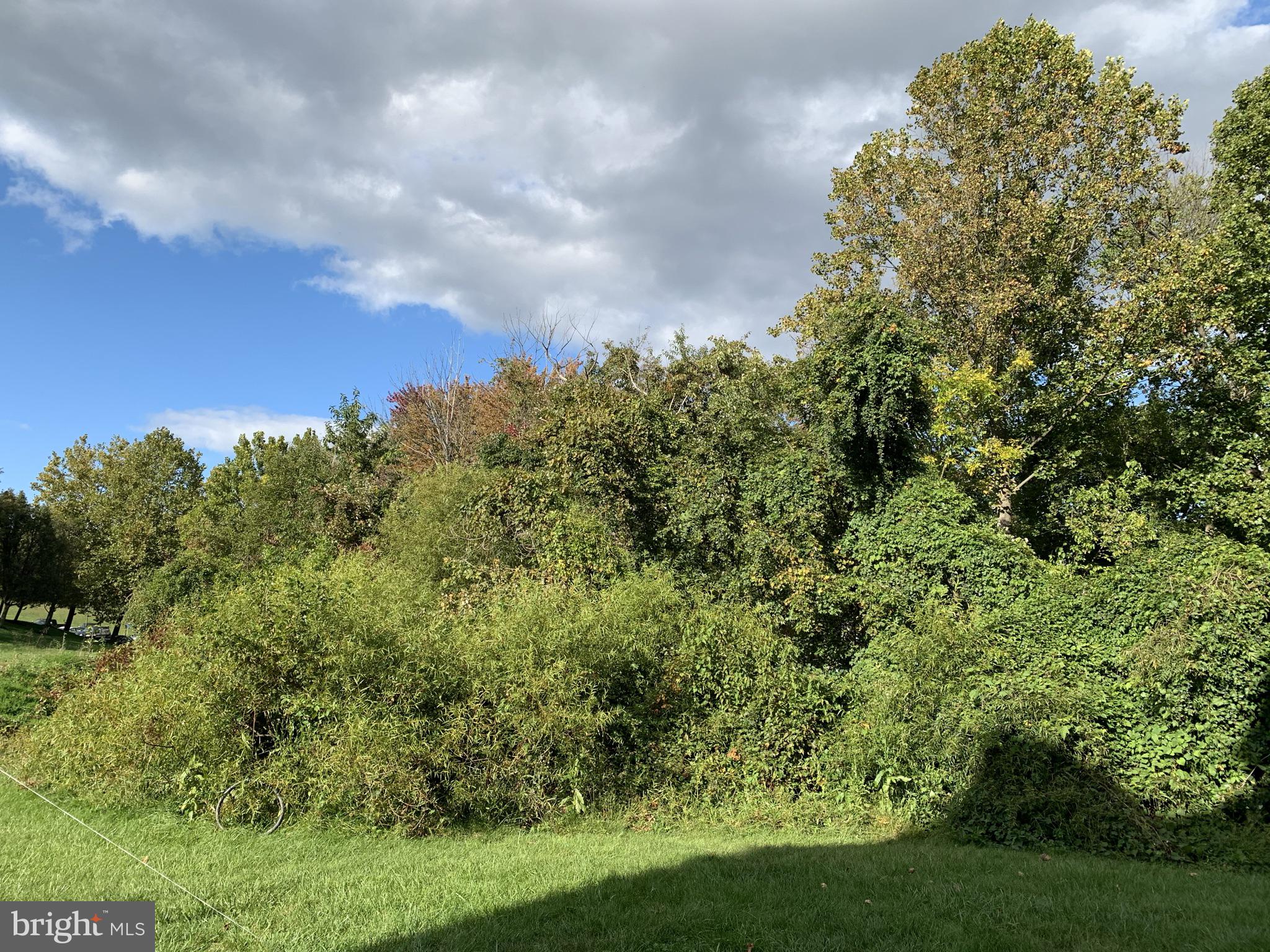 8507 Falls Run Road, Unit B Ellicott City, MD 21043 - Photo 31 of 36 Faces wooded area