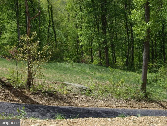 174 Mosby Springs Road Linden, VA 22642 - Photo 23 of 30 Just enjoy nature!