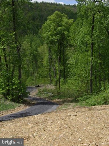 174 Mosby Springs Road Linden, VA 22642 - Photo 24 of 30 Escape to this very private setting
