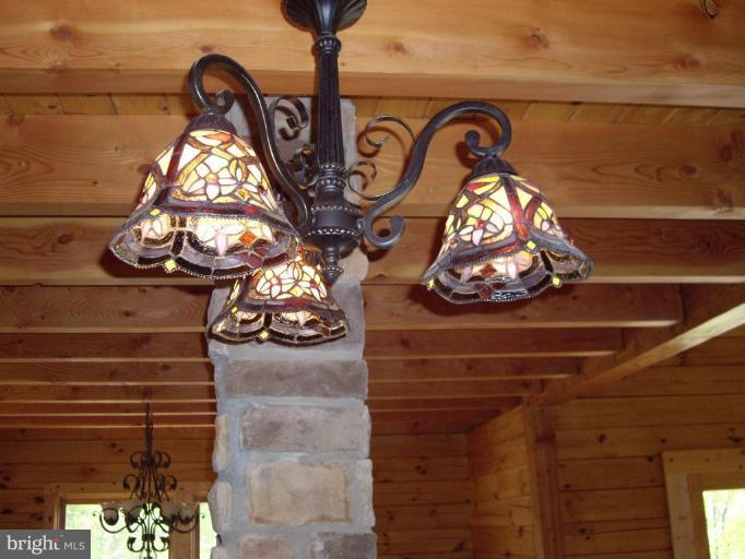 174 Mosby Springs Road Linden, VA 22642 - Photo 29 of 30 Kitchen Lighting