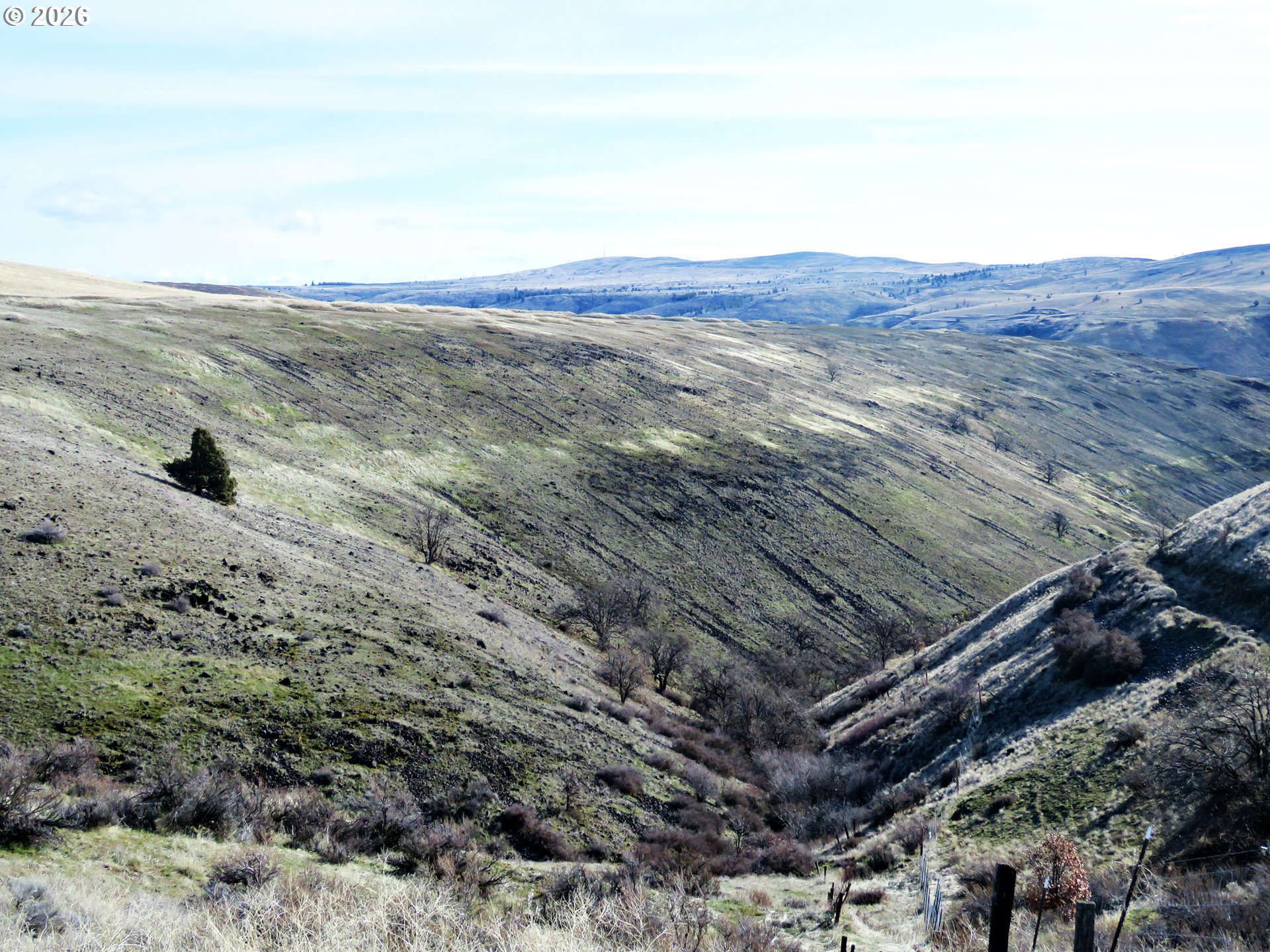 J Hix Road Tygh Valley, OR 97063 - Photo 15 of 25 a view of a dry yard with mountain