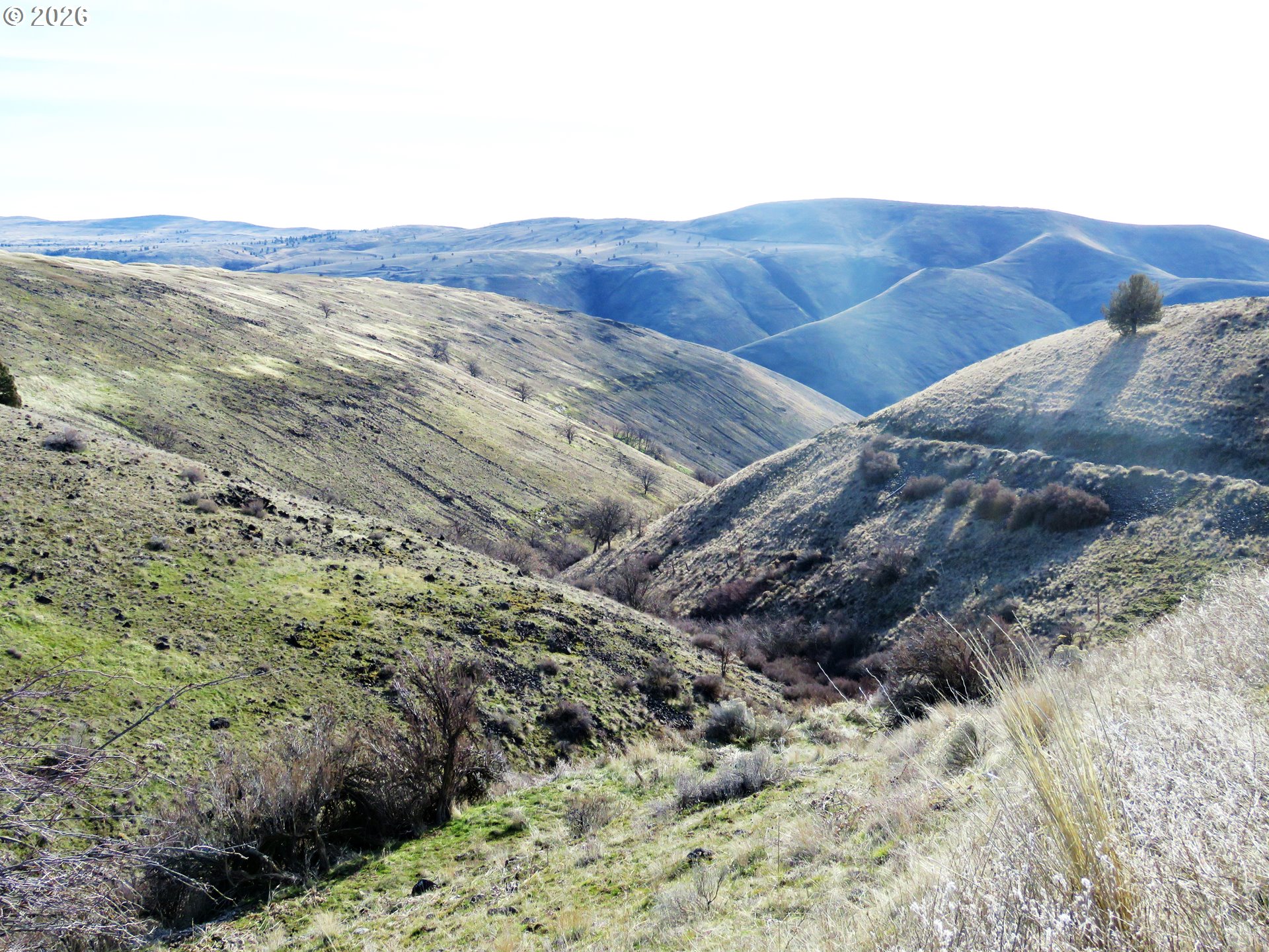 J Hix Road Tygh Valley, OR 97063 - Photo 16 of 25 a view of a large mountain with mountains in the background