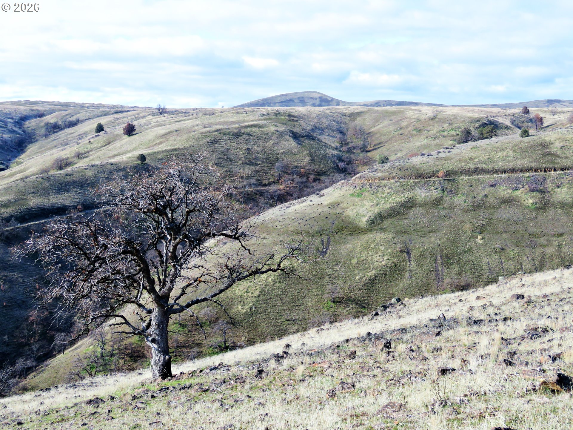 J Hix Road Tygh Valley, OR 97063 - Photo 17 of 25 a view of ocean view and mountain