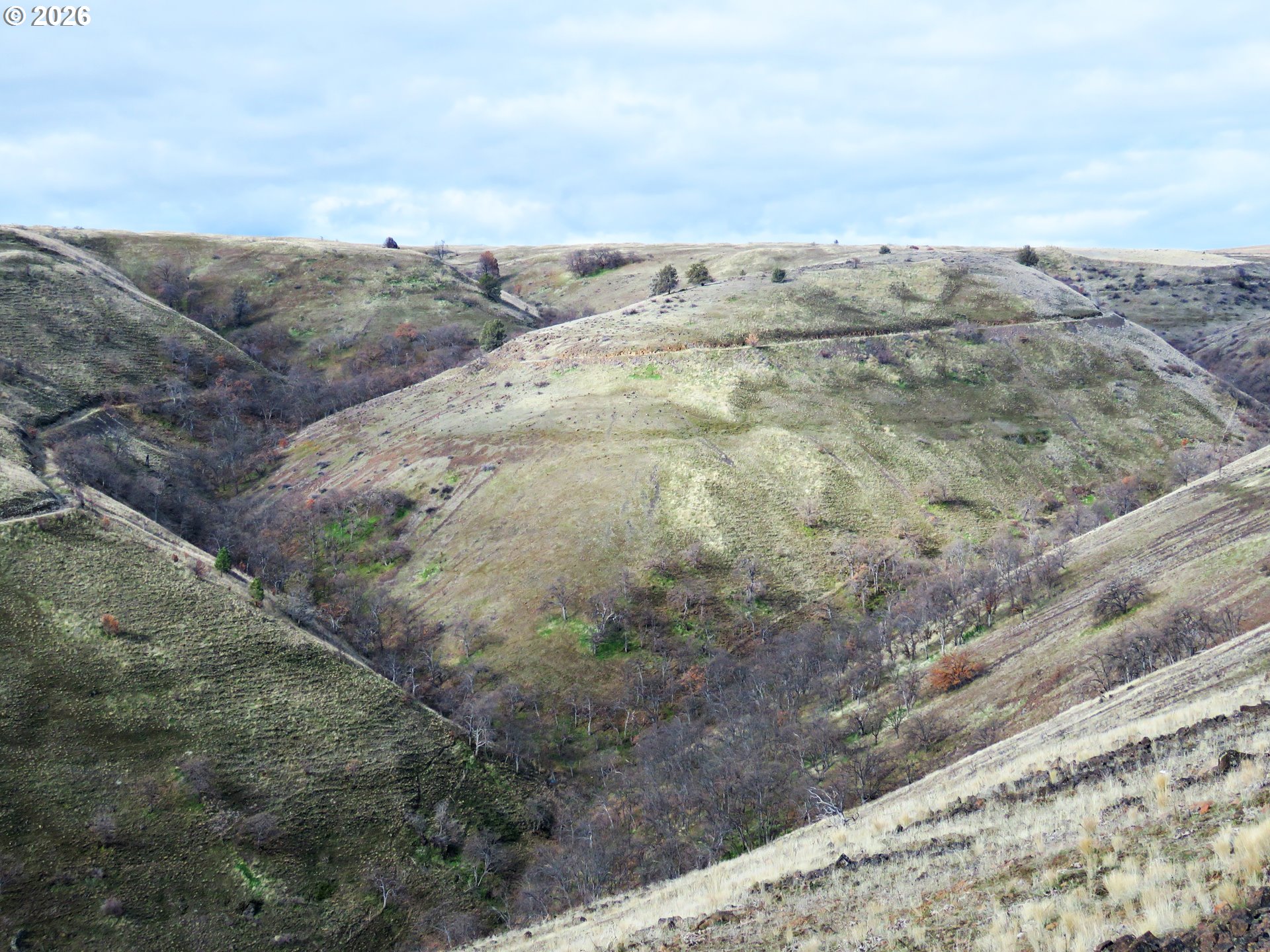 J Hix Road Tygh Valley, OR 97063 - Photo 19 of 25 a view of a dry yard with lots of trees
