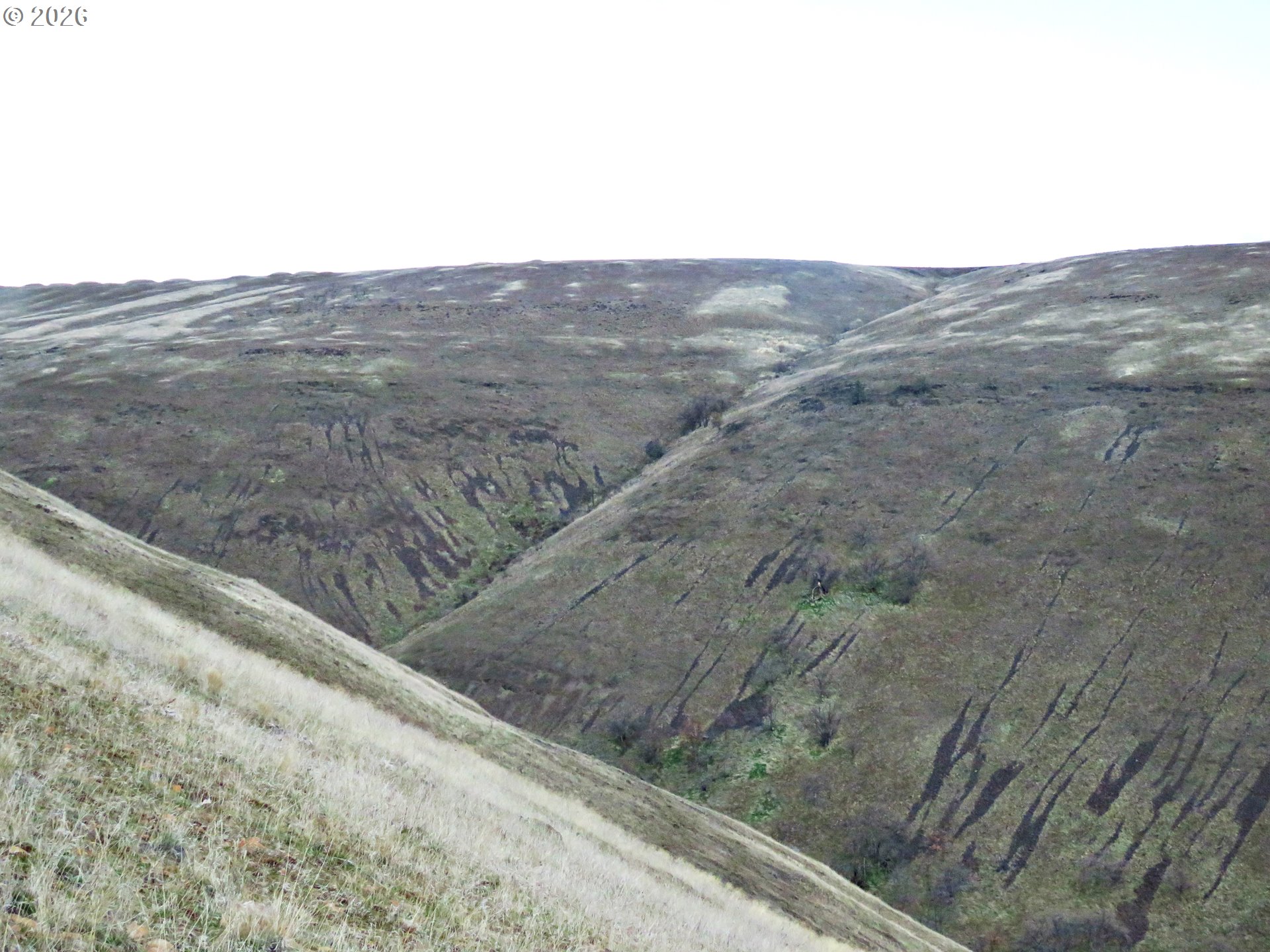 J Hix Road Tygh Valley, OR 97063 - Photo 23 of 25 a view of a dry yard