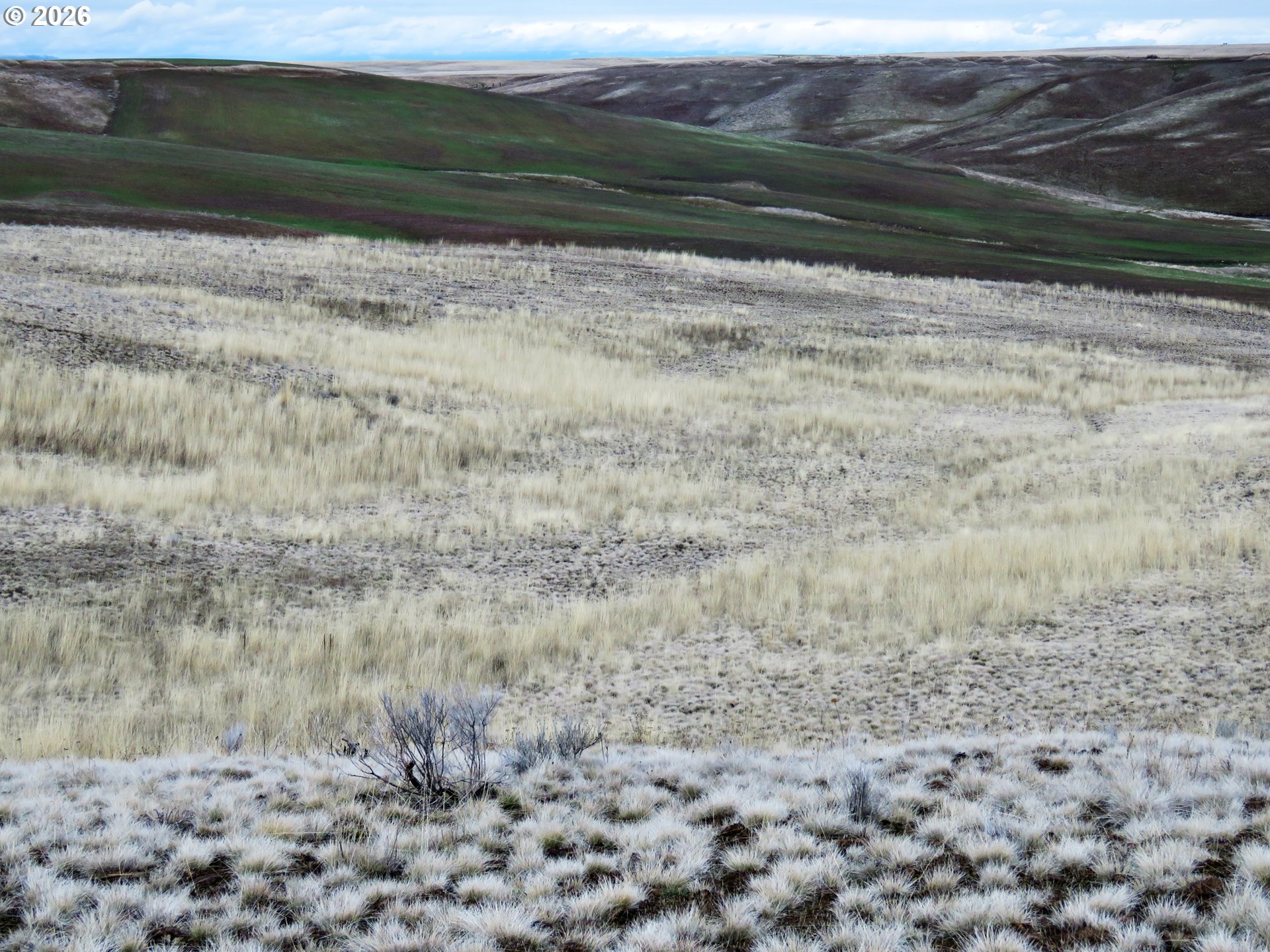 J Hix Road Tygh Valley, OR 97063 - Photo 25 of 25 a view of door