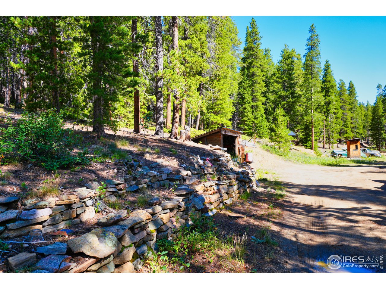 3533 Gamble Gulch Road Black Hawk, CO 80422 - Photo 13 of 18 a view of a yard with plants